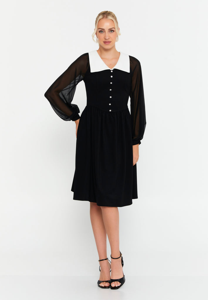 Midi Dress with Contrast Collar, Sheer Mesh Sleeves, and Waist-Cinching Design